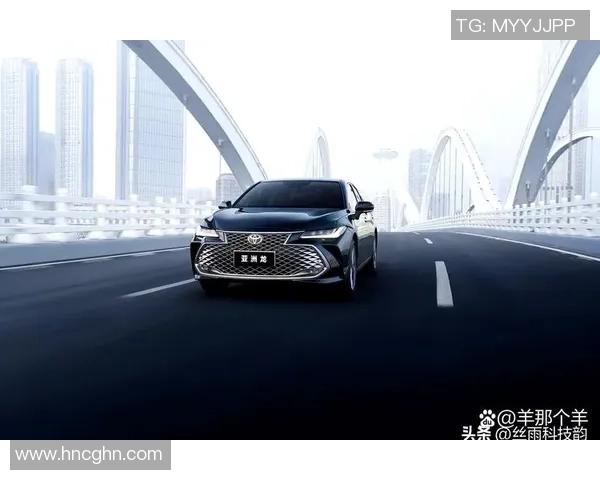 南京网球队在洲际杯积分榜中以73分稳居第一名展现强劲实力