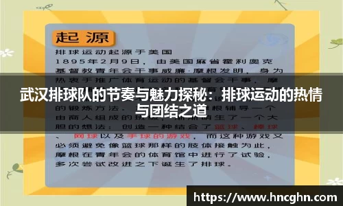 星空综合官网
